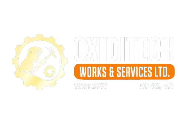 CXIDITECH Logo